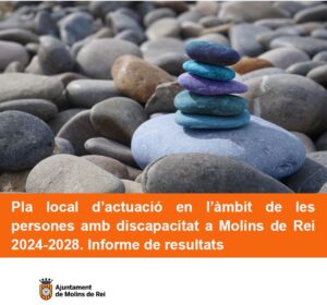 Lee más sobre el artículo El Ple aprova per unanimitat el Pla local d’actuació en l’àmbit de la discapacitat